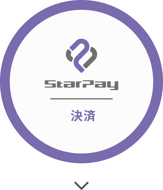 StarPay Fintech決済